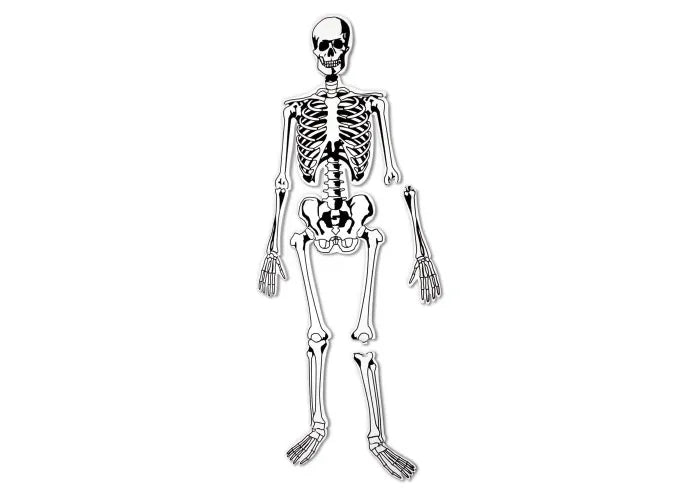 Learning Resources Skeleton Foam Floor Puzzle