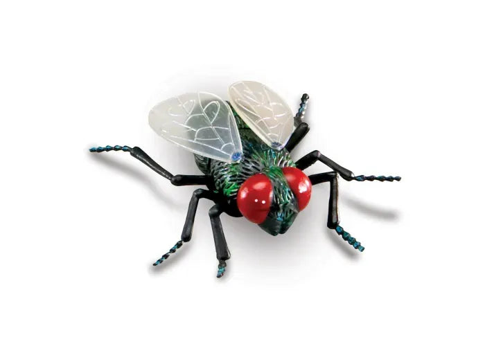 Learning Resources Jumbo Insects